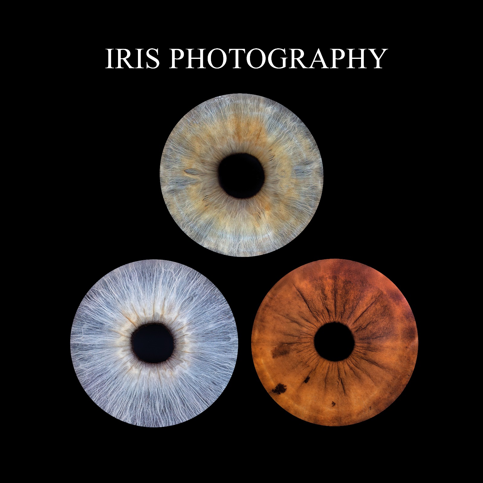 WhatsApp Image 2025-11-05 at 10.52.30